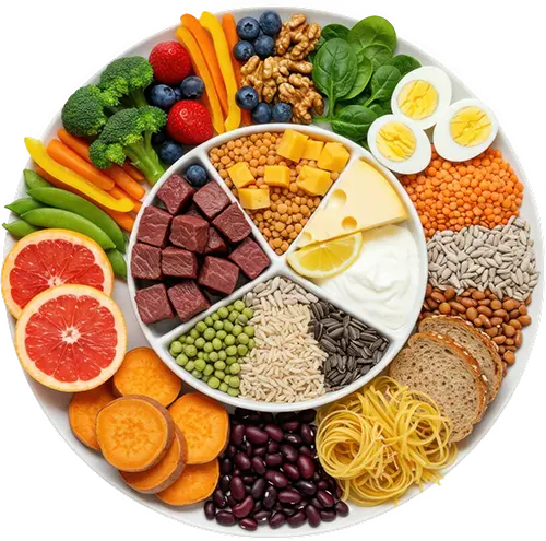 Healthy Diet Plan Plate